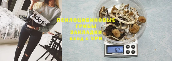 крисы Алзамай