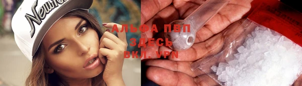 крисы Алзамай