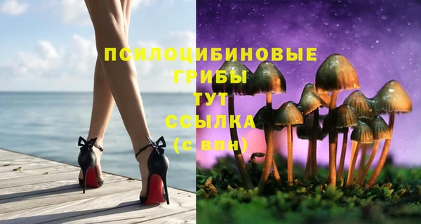крисы Алзамай